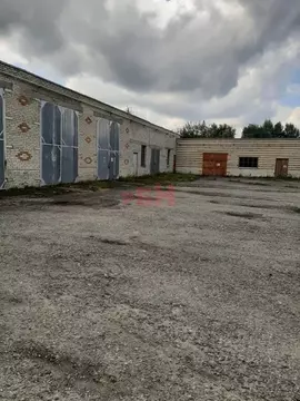 Производственное помещение в Курганская область, Шумиха ул. Квартал ...