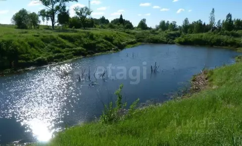 Участок в Тульская область, Заокский район, Демидовское с/пос, д. ...