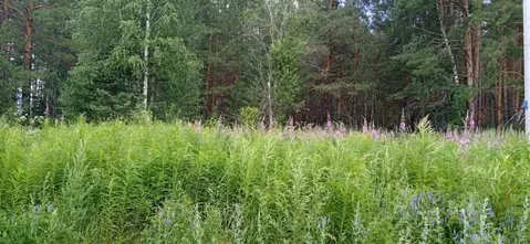 Участок в Свердловская область, Горноуральский муниципальный округ, с. ...