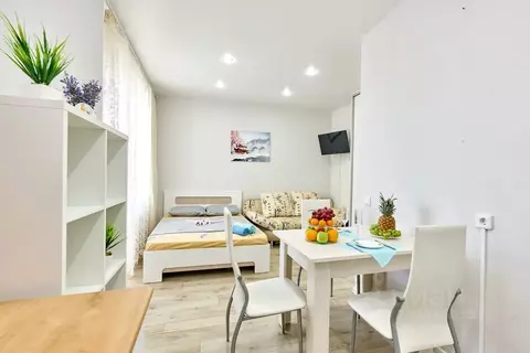 Студия Пермский край, Пермь ул. Александра Турчевича, 8 (30.0 м)