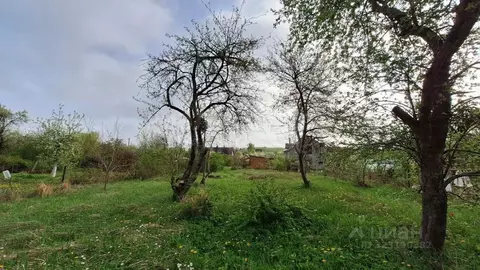 Участок в Калининградская область, Калининград Пищевик СНТ, ул. ...