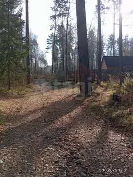 Участок в Красноярский край, Дивногорск городской округ, с. Овсянка ...