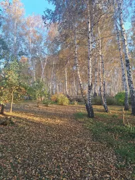 Участок в Омская область, Омск Светлый СНТ,  (10.0 сот.)