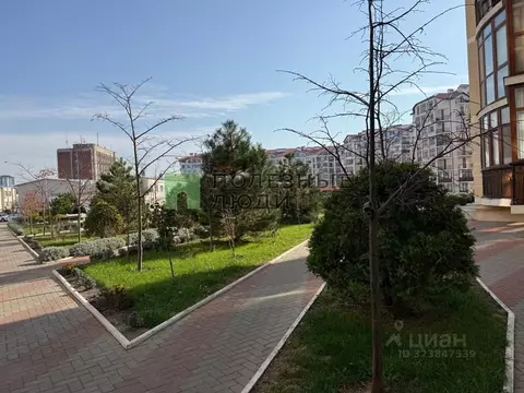 1-к кв. Краснодарский край, Геленджик Крымская ул., 22к22 (45.8 м)