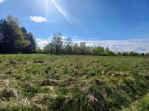 Участок в Псковская область, Псковский район, Тямшанская волость, д. ...