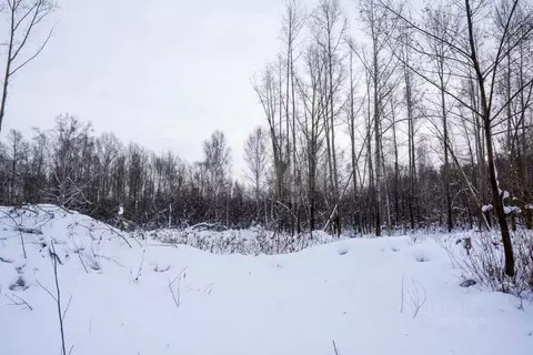 Участок в Новосибирская область, Новосибирск  (7.19 сот.)