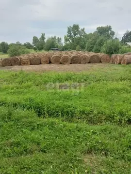 Участок в Амурская область, Серышевский муниципальный округ, с. ...