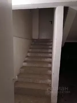 Помещение свободного назначения в Челябинская область, Озерск просп. ...