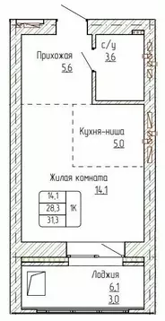 1-к кв. Алтайский край, Новоалтайск ул. Титова, 6 (31.3 м)