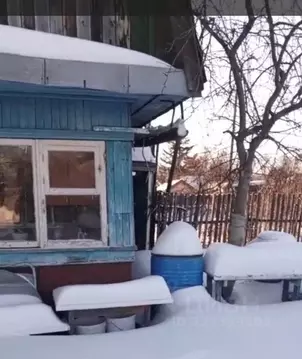 Дом в Омская область, Омск Садовод СНТ,  (16 м)