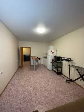 1-к кв. Воронежская область, Воронеж ул. Ломоносова, 84 (30.0 м)