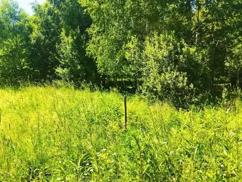 Участок в Тульская область, Ясногорский район, пос. Есуковский  (20.0 ...