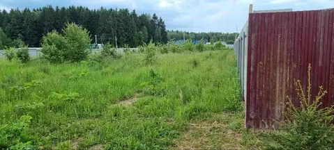 Участок в Московская область, Истра муниципальный округ, д. Бужарово  ...