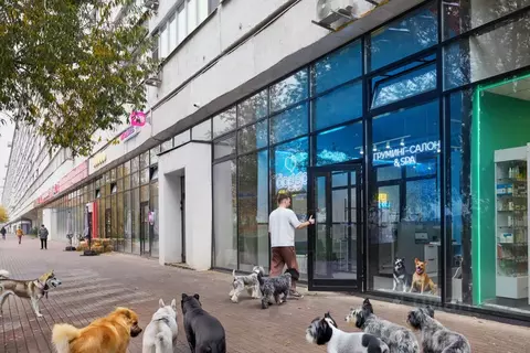 Торговая площадь в Москва, Москва, Зеленоград к360 (34 м)