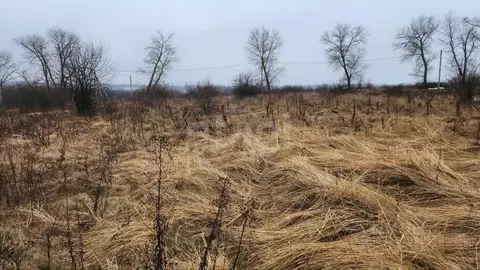 Участок в Белгородская область, Белгородский район, Дубовское с/пос, ...