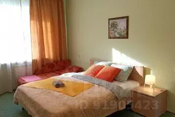 2-к кв. Новосибирская область, Новосибирск ул. Семьи Шамшиных, 18 ...