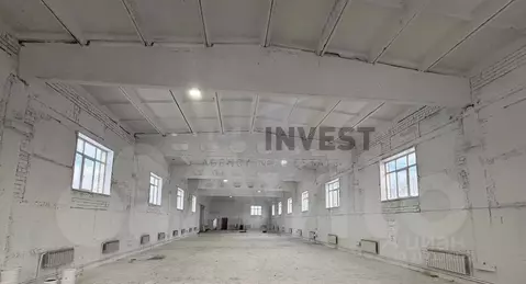 Производственное помещение в Челябинская область, Сосновский район, ...