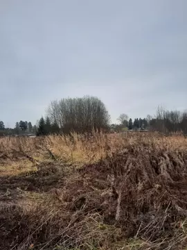 Участок в Московская область, пос. Молодежный  (12.0 сот.)