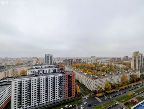 2-комнатная квартира: Санкт-Петербург, проспект Просвещения, 43 (81 м)