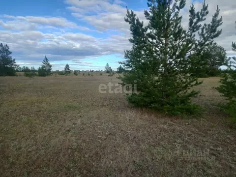 Участок в Саха (Якутия), Якутск городской округ, с. Тулагино, ...