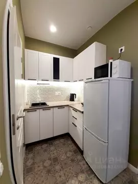 Студия Санкт-Петербург пос. Стрельна, просп. Буденного, 26к4 (23.0 м)