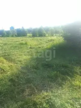 Участок в Вологодская область, Колос садоводческое товарищество  (10.0 ...