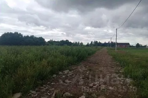 Участок в Новгородская область, Новгородский район, Ракомское с/пос, ...