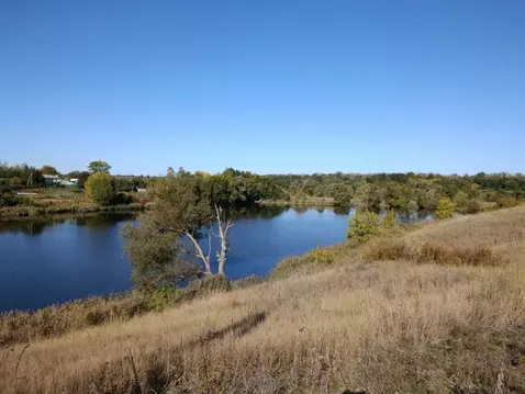 Участок в Белгородская область, Белгородский район, Пушкарское с/пос, ...