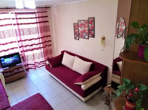 Студия Крым, Алушта ул. Октябрьская, 15 (24.0 м)