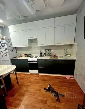 1-к кв. Забайкальский край, Чита пос. Текстильщиков, Молодежный мкр, ...