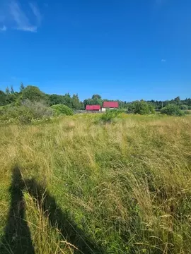 Участок в Псковская область, Струги Красные рп  (15.0 сот.)