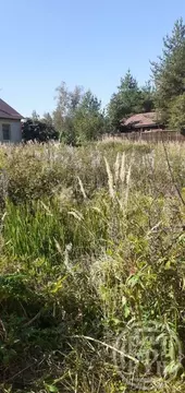 Участок в Ленинградская область, Ломоносовский район, Пениковское ...