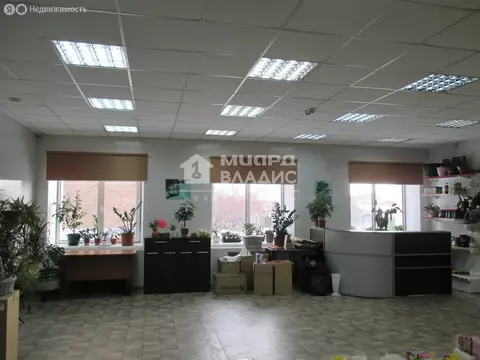 Помещение свободного назначения (295.6 м)