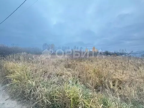Участок в Тюменская область, Тюмень Царево садовое товарищество, ул. ...