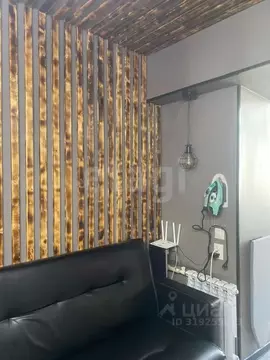 Студия Ставропольский край, Пятигорск ул. Орджоникидзе (34.0 м)