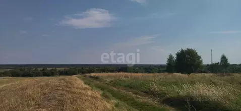 Участок в Брянская область, Жуковский муниципальный округ, с. Овстуг  ...