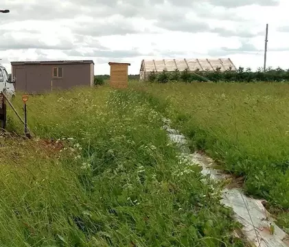 Участок в Ленинградская область, Гатчинский муниципальный округ, д. ...