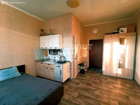 Квартира-студия: Уфа, улица Рыбакова, 13 (19.7 м)
