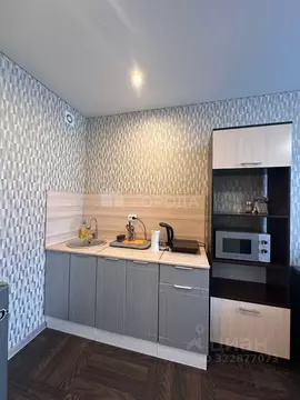 Студия Алтайский край, Барнаул Северный Власихинский проезд, 112 (26.2 ...