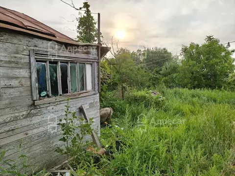 Участок в Волгоградская область, Волгоград Восход СНТ,  (5.37 сот.)