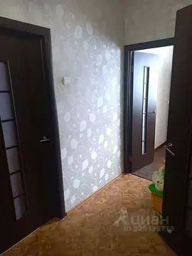 1-к кв. Новосибирская область, Новосибирск Линейная ул., 47/2 (38.4 м)