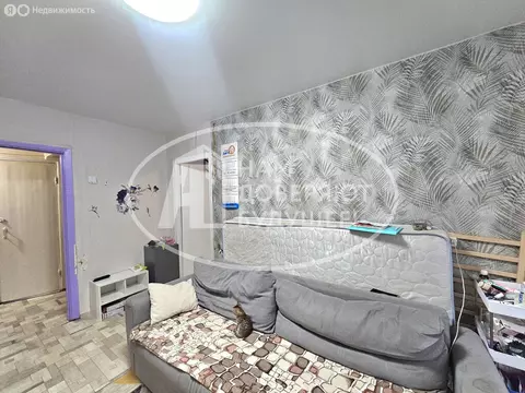 2-комнатная квартира: Чайковский, Шлюзовая улица, 3 (41 м)