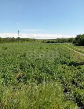 Участок в Ростовская область, Родионово-Несветайский район, ...