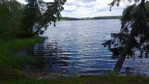 Участок в Тверская область, Зубцовский муниципальный округ  (3800.0 ...