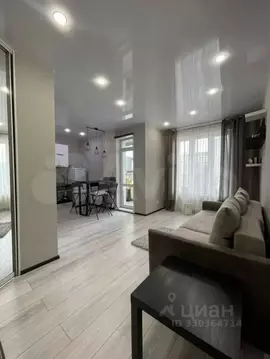 Студия Красноярский край, Красноярск ул. Алексеева, 46 (33.0 м)