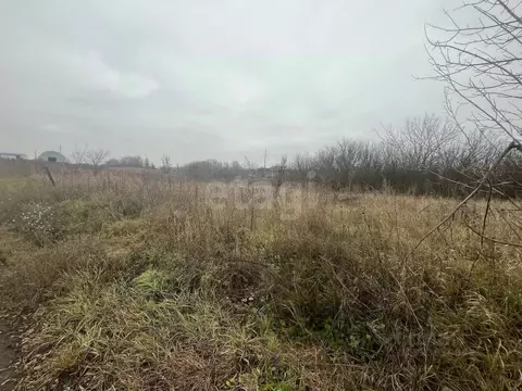 Участок в Белгородская область, Белгородский район, с. Стрелецкое, с. ...