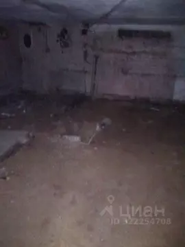 Помещение свободного назначения в Пермский край, Пермь Студенческая ...