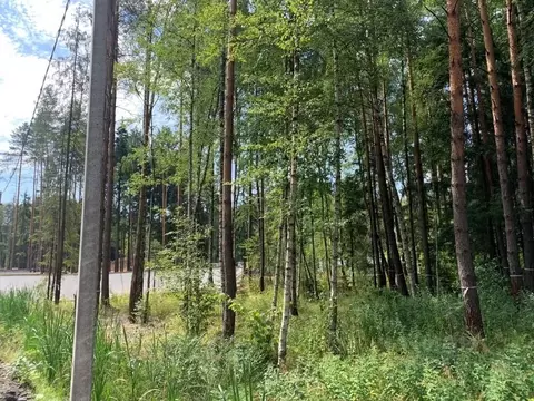 Участок в Московская область, Химки Новогорск Лес ТСН,  (25.86 сот.)