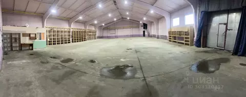 Склад в Новосибирская область, Новосибирск ул. Петухова, 71/2 (531 м)