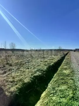 Участок в Ленинградская область, Ломоносовский район, Оржицкое с/пос, ...